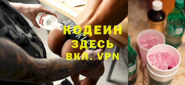 дмт Кодинск