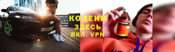 дмт Кодинск