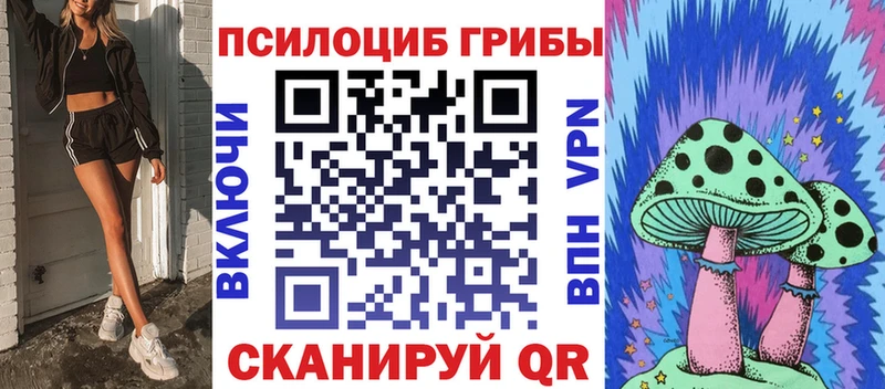 Галлюциногенные грибы Psilocybe  Купить где  Верхнеуральск 